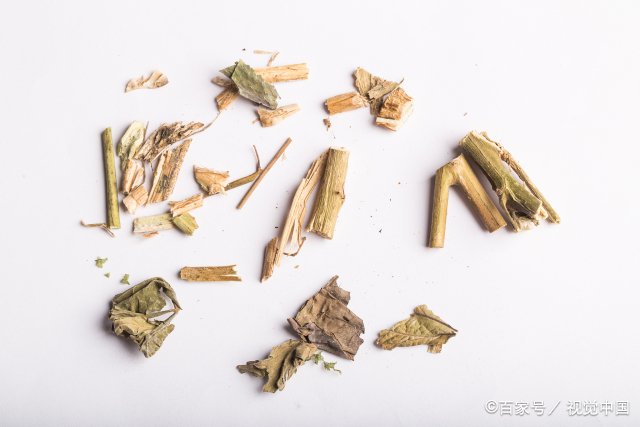 仙剑奇侠传三中，为什么龙葵会害怕太阳？