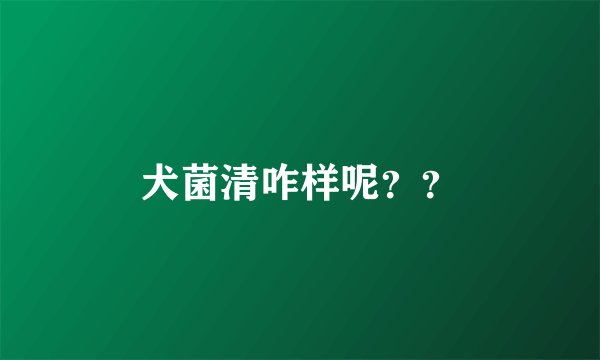 犬菌清咋样呢？？