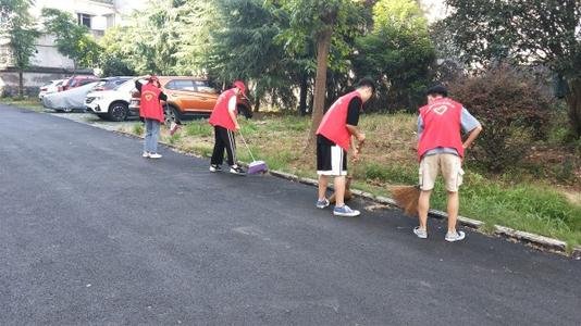 青年志愿者活动都包括哪些呢?