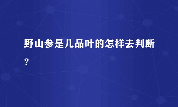 野山参是几品叶的怎样去判断？