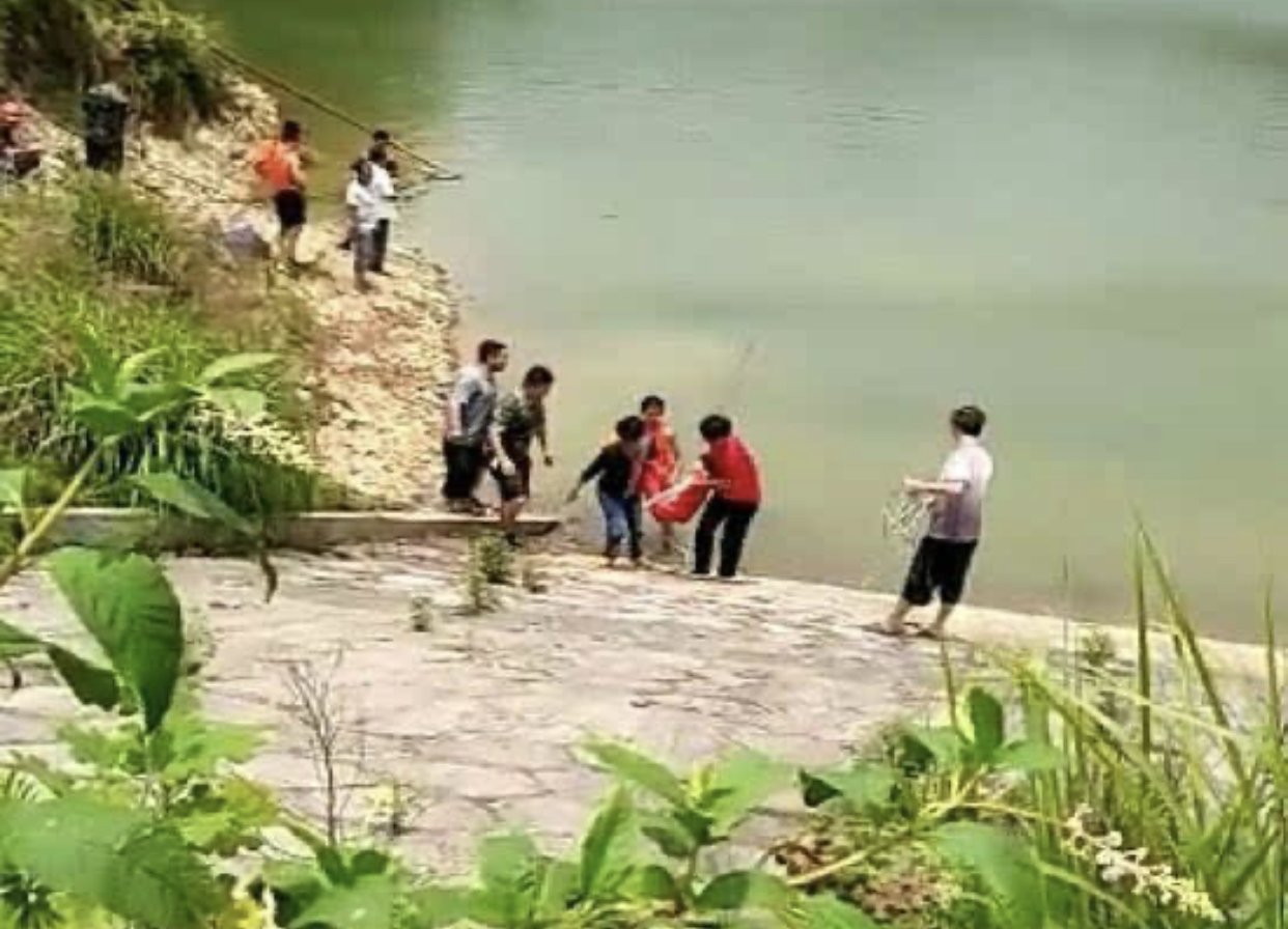 四川两孙女被奶奶推拉进粪坑溺亡，是有精神病吗？