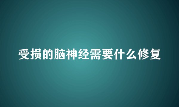 受损的脑神经需要什么修复