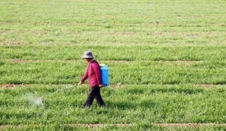 植物防冻剂有什么作用?正确的使用时间与使用方法是什么?