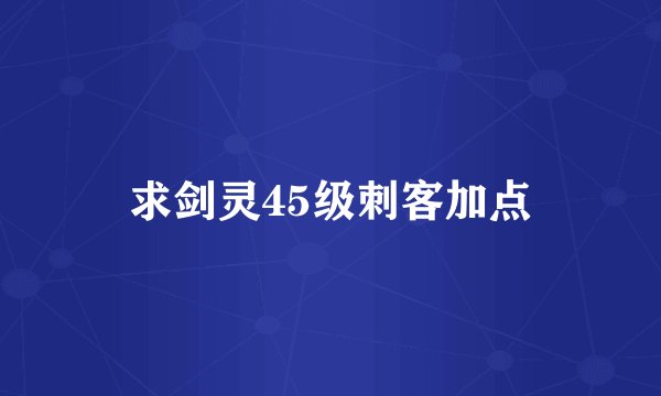 求剑灵45级刺客加点