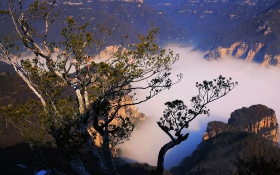 教师节来临，多地景区对教师免门票，具体有哪些优惠福利？