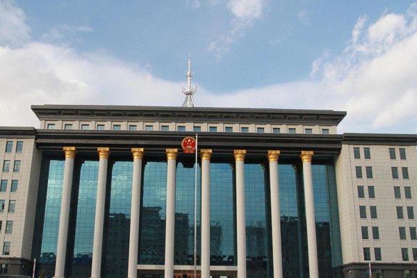 女大学生虚开发票被判2年开除学籍，这样的惩罚合理吗？