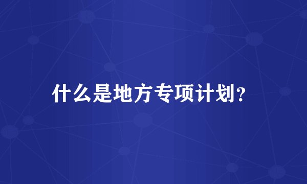 什么是地方专项计划？
