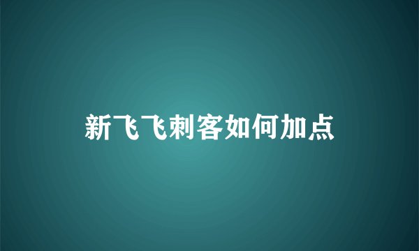 新飞飞刺客如何加点