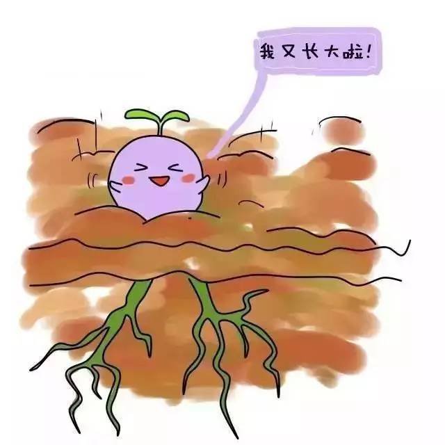 人工流产的最佳时间是什么时候?