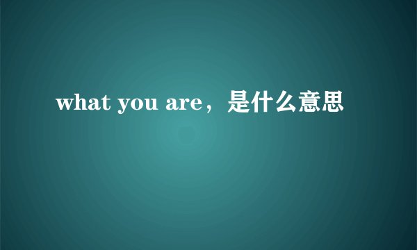 what you are，是什么意思