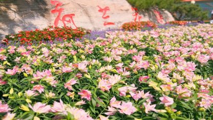 江苏盐城十大旅游景点