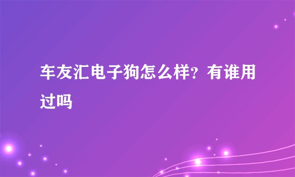 车友汇电子狗怎么样？有谁用过吗