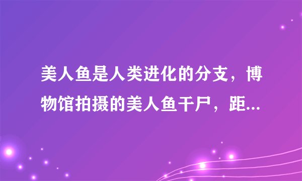 美人鱼是人类进化的分支，博物馆拍摄的美人鱼干尸，距近2000多年，是石灰掩埋形成的，大家怎么看？