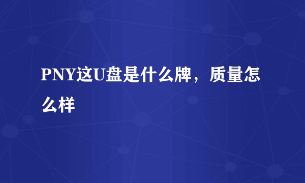 PNY这U盘是什么牌，质量怎么样