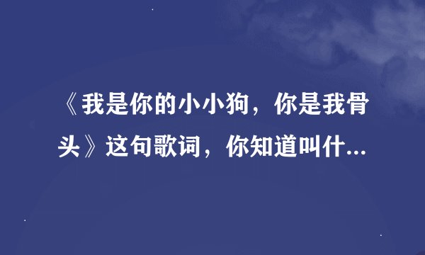 《我是你的小小狗，你是我骨头》这句歌词，你知道叫什么名吗？