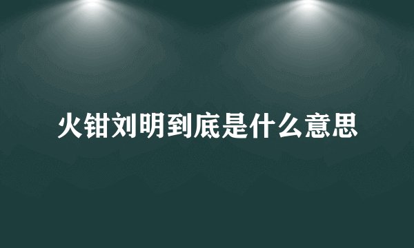 火钳刘明到底是什么意思