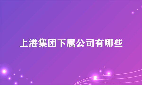 上港集团下属公司有哪些