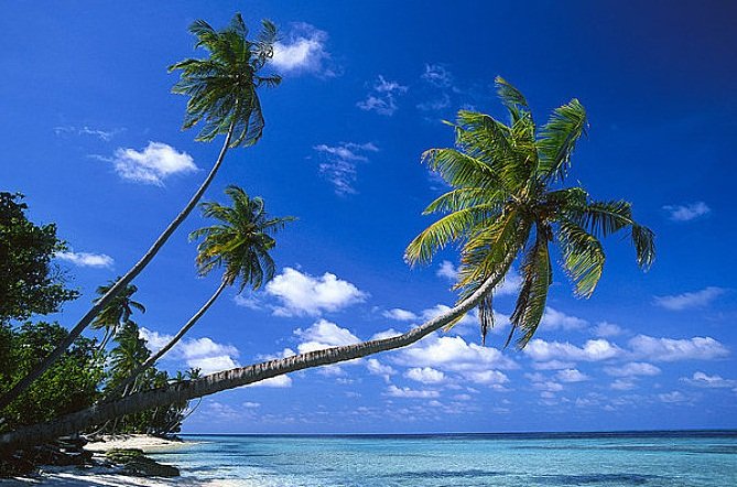 去马尔代夫要多少钱啊？