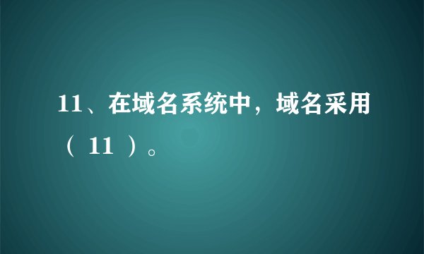 11、在域名系统中，域名采用（ 11 ）。