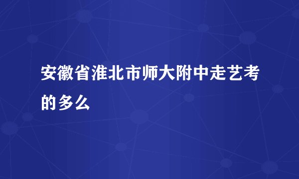 安徽省淮北市师大附中走艺考的多么