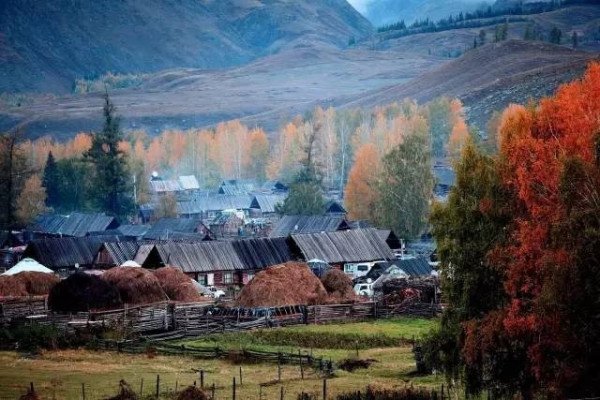 布尔津有没有直接到白哈巴的班车？