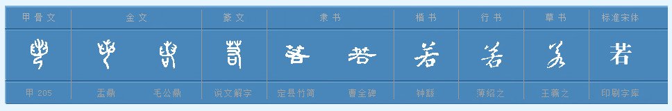 文言文中（若）是什么意思