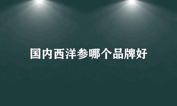 国内西洋参哪个品牌好