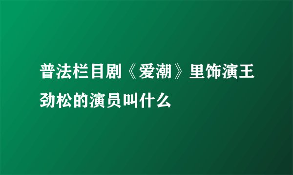 普法栏目剧《爱潮》里饰演王劲松的演员叫什么
