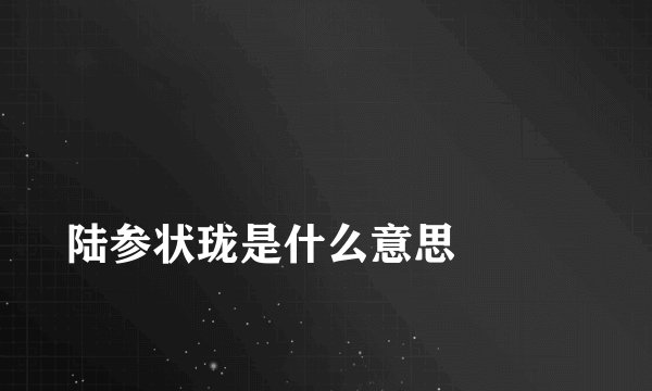 
陆参状珑是什么意思

