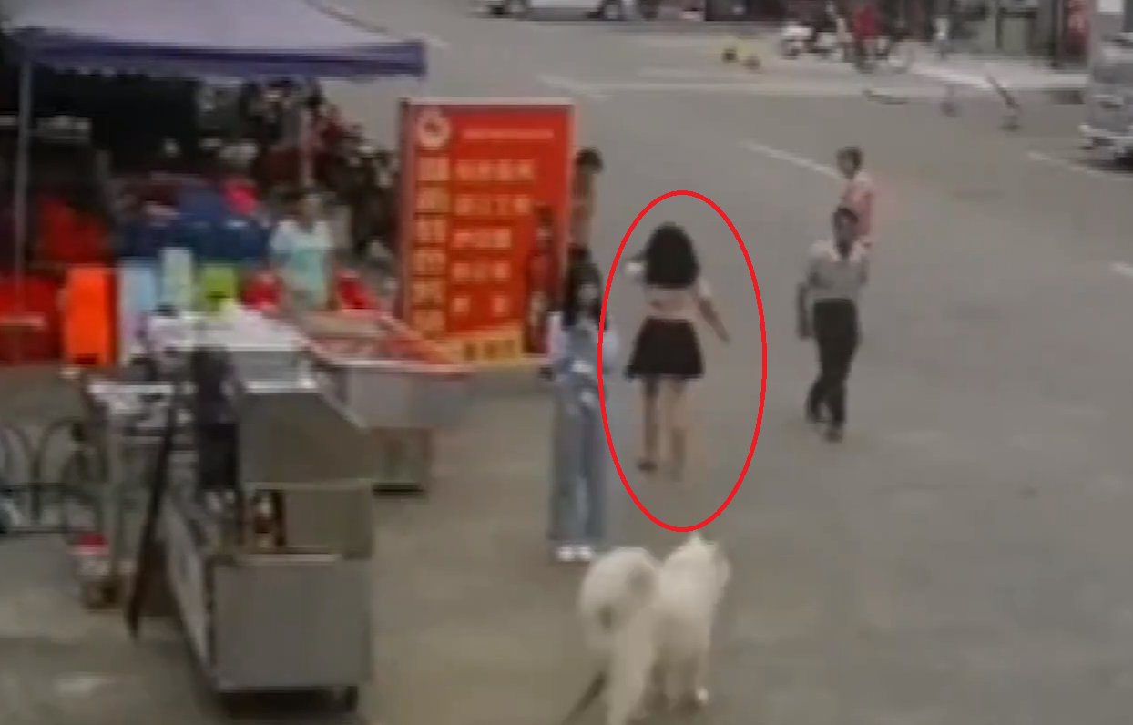 牵狗少女回应“逃跑”：当时并不知道是狗绳绊倒了老人，她的话可信吗？