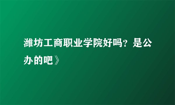 潍坊工商职业学院好吗？是公办的吧》