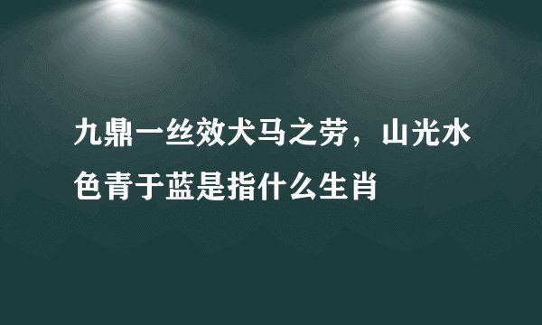 九鼎一丝效犬马之劳，山光水色青于蓝是指什么生肖
