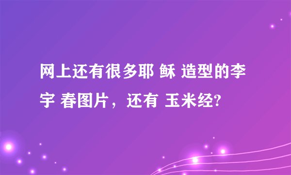 网上还有很多耶 稣 造型的李 宇 春图片，还有 玉米经?