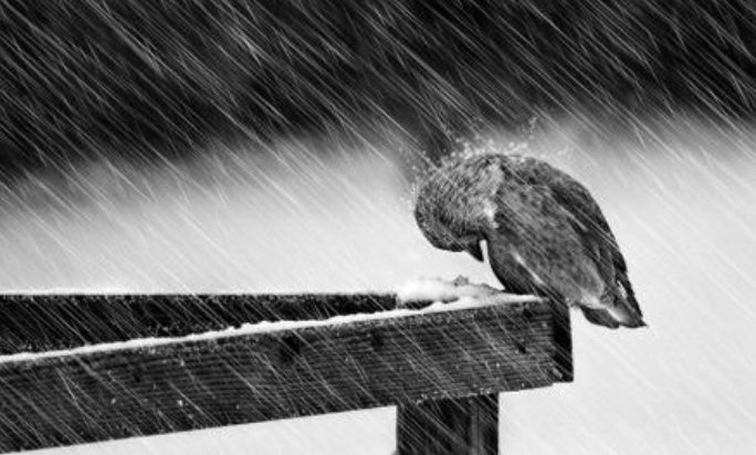 material是什么意思?