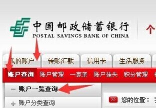 邮政储蓄开通网银后怎么激活