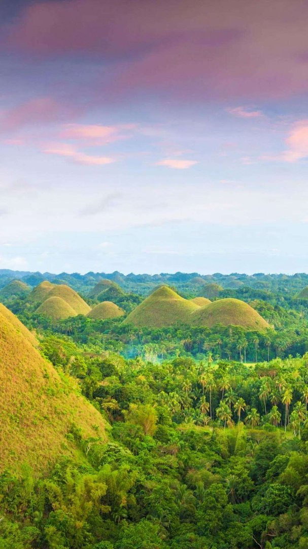 贵州冲进水库大巴内有高考学生,事故有没有造成人员伤亡?
