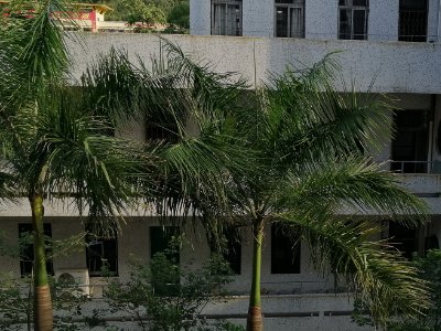 高要市一中，二中 小学升初分数线是多少？