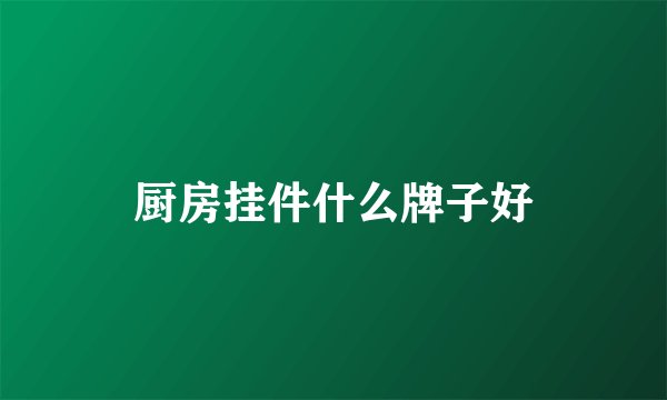厨房挂件什么牌子好