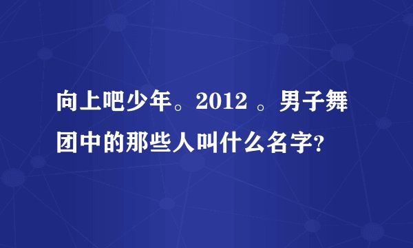 向上吧少年。2012 。男子舞团中的那些人叫什么名字？