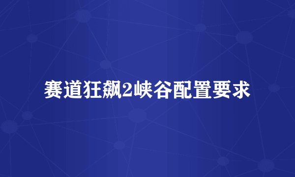 赛道狂飙2峡谷配置要求