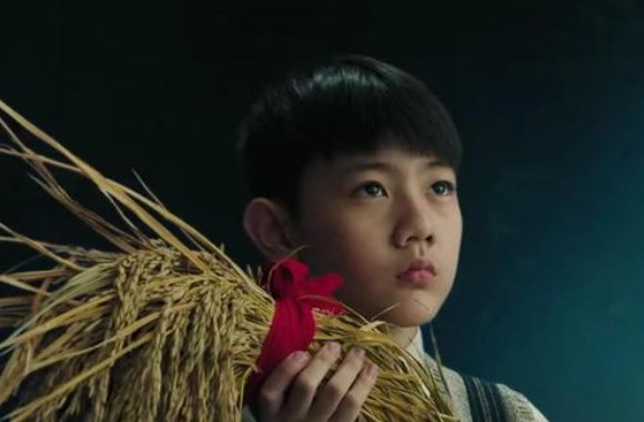 功勋里的小男孩谁演的