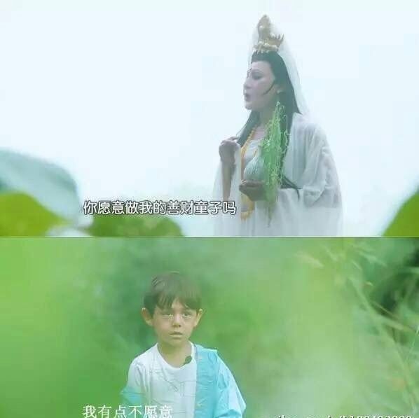 你收集过最搞笑的图片有哪些?