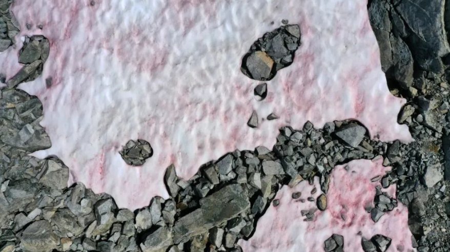 阿尔卑斯山竟出现粉色冰川，这是什么原因造成的？