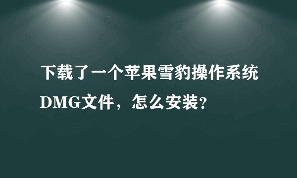 下载了一个苹果雪豹操作系统DMG文件，怎么安装？