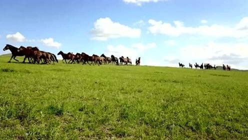 《草原》课文内容的概括