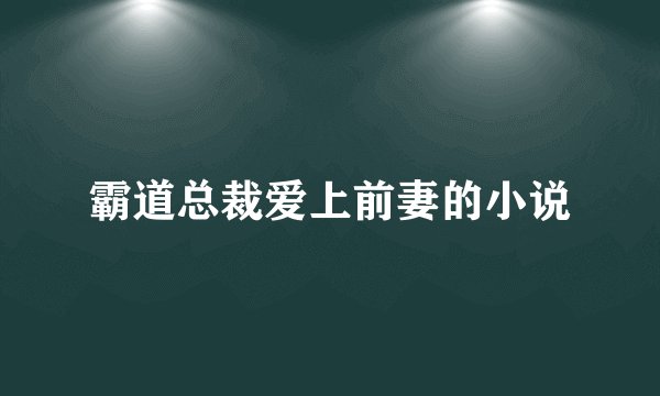 霸道总裁爱上前妻的小说