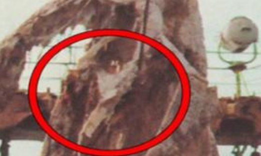 1977年的日本海怪事件是怎么回事?究竟捞起了什么?