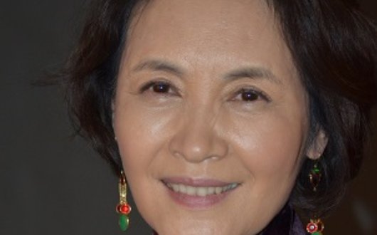 求音乐：月落长江的主题曲