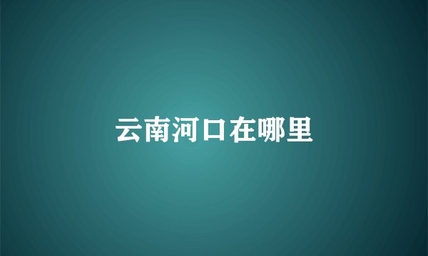 云南河口在哪里