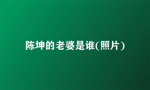 陈坤的老婆是谁(照片)